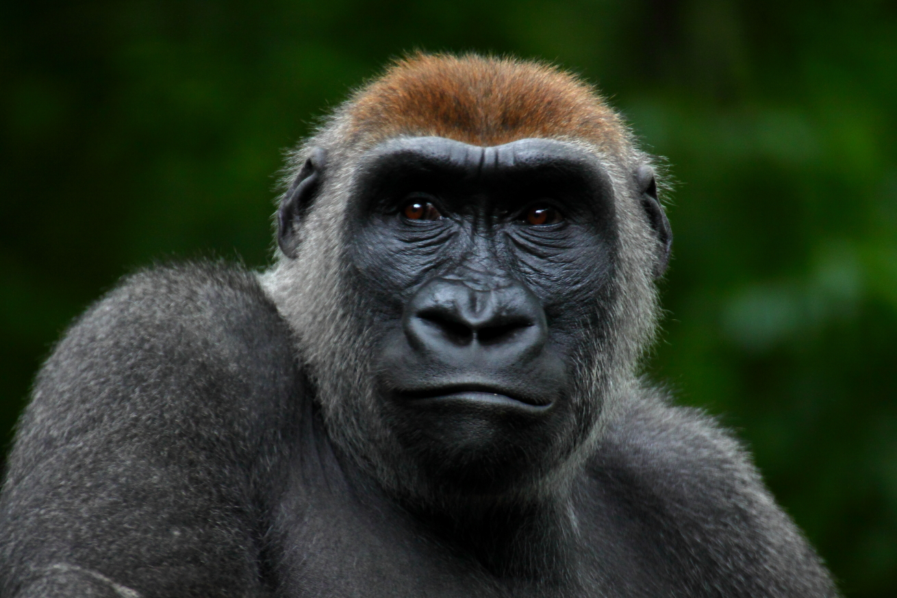 2014 06 11 HTP 61251ee
